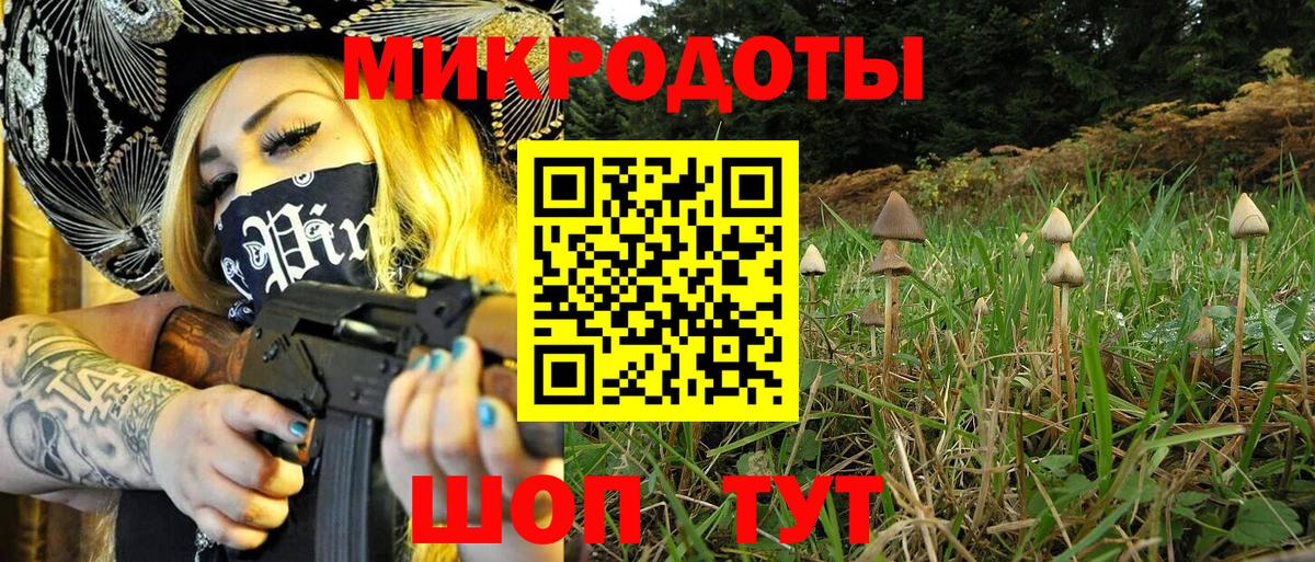 купить наркоту  Вход с VPN  Нерюнгри  Псилоцибиновые грибы Psilocybine cubensis 